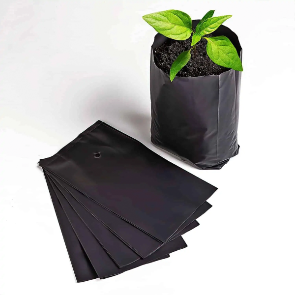 Bolsa para Almácigo - Imagen 2